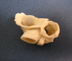 Bowen 3D Print Heart (2)