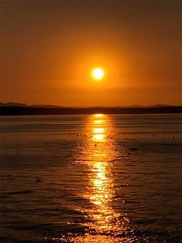 A photo of a golden sunset with the water reflecting the sunlight.