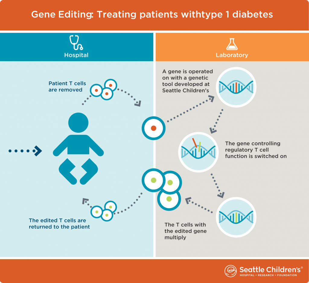 This graphic shows the process of gene editing.