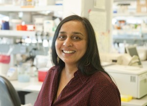 Dr. Lakshmi Rajagopal is trying to better understand the common bacteria Group B Streptococcus and how infections occur before birth. 