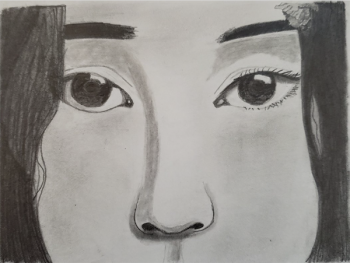 A drawing of a person showing the eyes and nose.