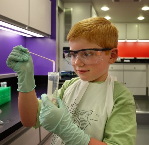 A student examines DNA in the Science Adventure Lab. 
