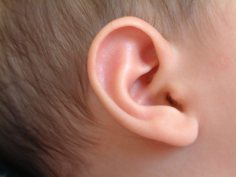 Infant ear